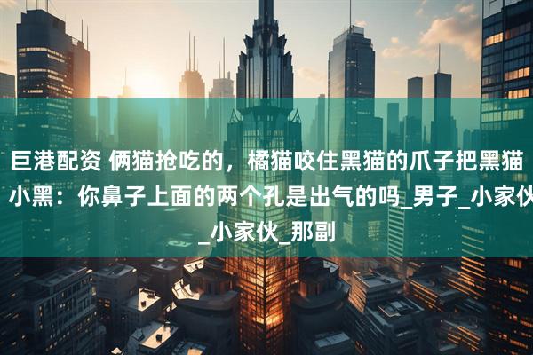 巨港配资 俩猫抢吃的，橘猫咬住黑猫的爪子把黑猫拖走。小黑：你鼻子上面的两个孔是出气的吗_男子_小家伙_那副