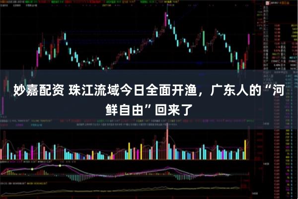 妙嘉配资 珠江流域今日全面开渔，广东人的“河鲜自由”回来了