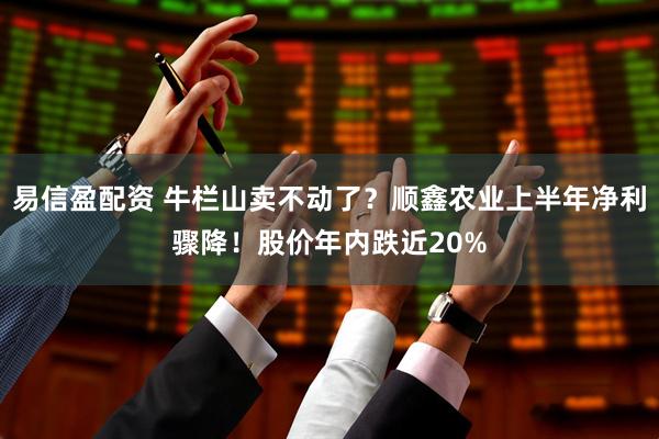 易信盈配资 牛栏山卖不动了？顺鑫农业上半年净利骤降！股价年内跌近20%
