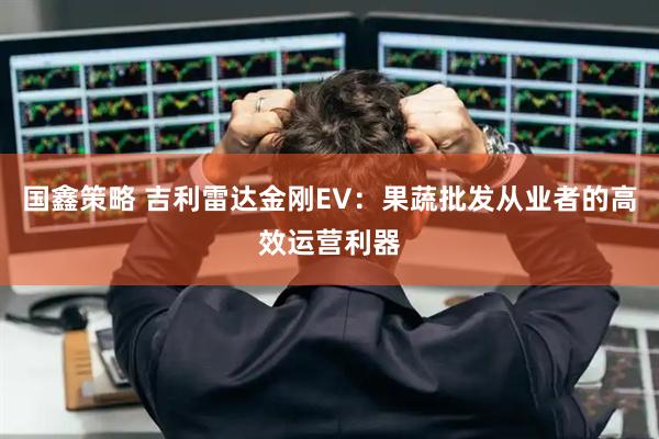 国鑫策略 吉利雷达金刚EV：果蔬批发从业者的高效运营利器
